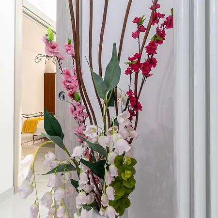 Facchinettis Flat Appartement *